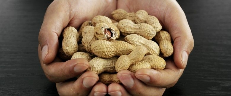 La production de Viaskin Peanut, à la hauteur pour satisfaire les premières demandes !