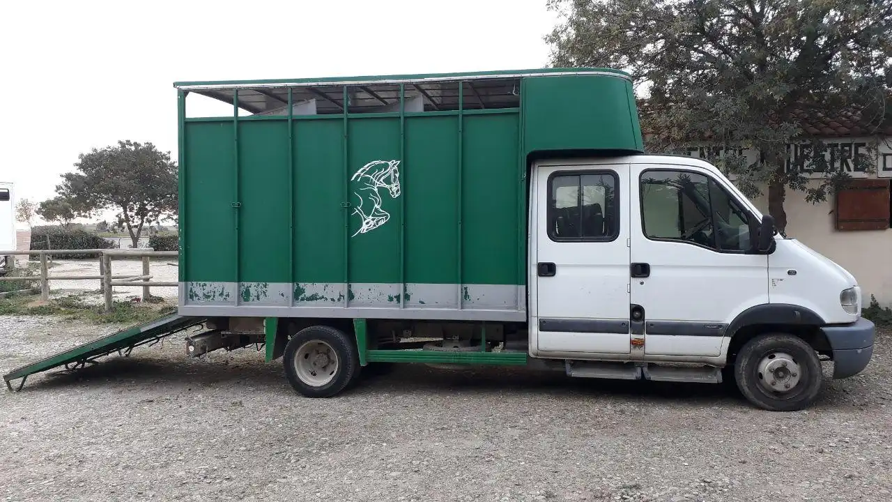 Votre partenaire pour le transport de cheval